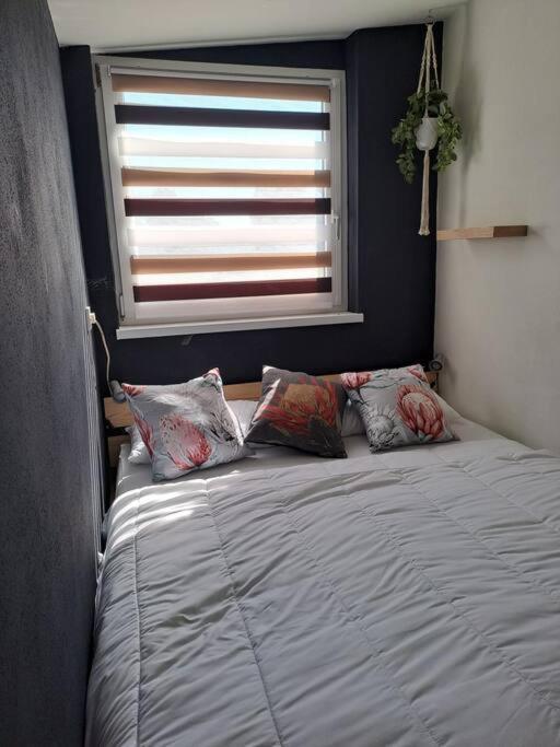 Klein Windhoek Auf Ruegen Ummanz ภายนอก รูปภาพ